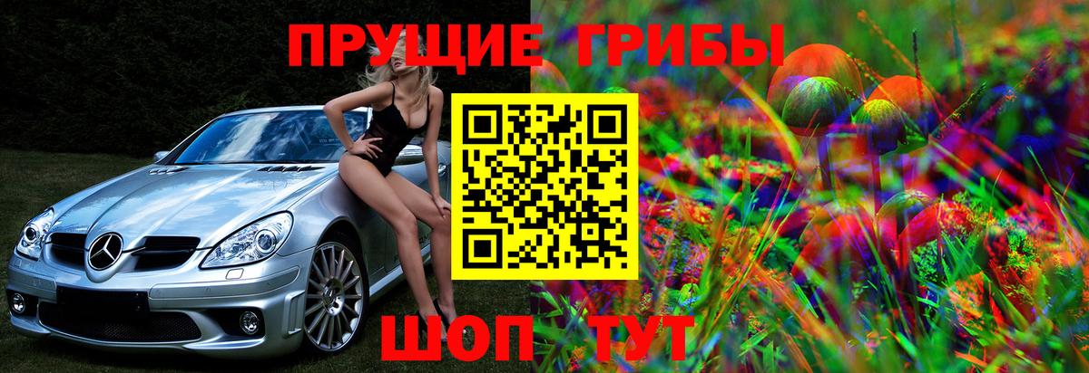 Псилоцибиновые грибы Cubensis  Вход с VPN  Галлюциногенные грибы Psilocybine cubensis  Балашов 