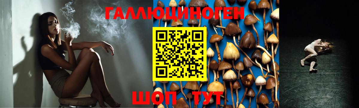 Галлюциногенные грибы GOLDEN TEACHER Балашов